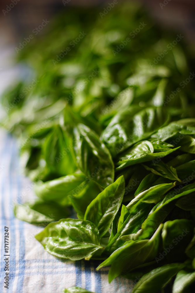 Fresh picked Basil Fresh picked Basil