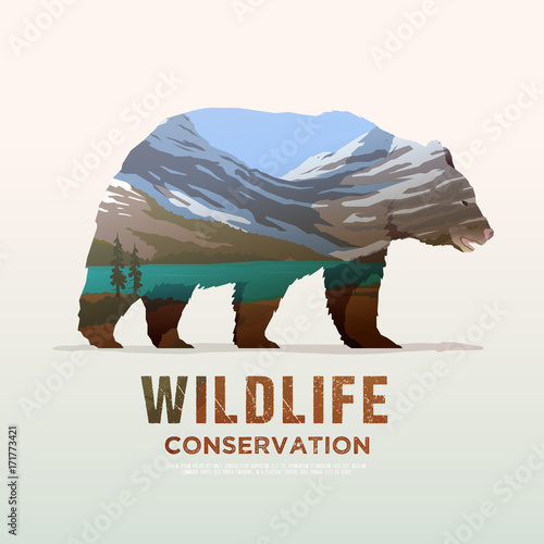 Animals of America