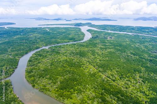 Aerial view of mangrove forest at Phang-Nga bay, Thialand
