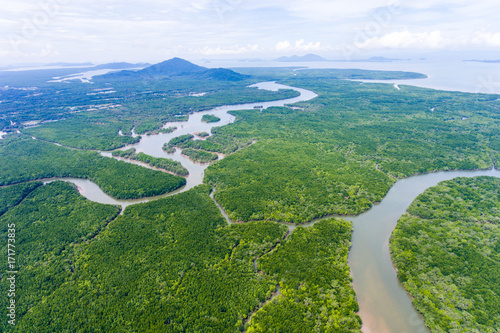 Aerial view of mangrove forest at Phang-Nga bay, Thialand