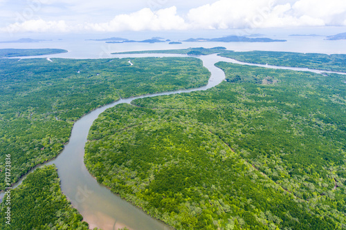 Fototapeta Naklejka Na Ścianę i Meble -  Aerial view of mangrove forest at Phang-Nga bay, Thialand
