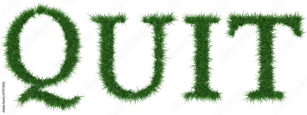 Quit - 3D rendering fresh Grass letters isolated on whhite background. Quit - 3D rendering fresh Grass letters isolated on whhite background.