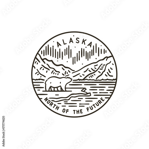 Alaska. White bear. Aurora Borealis