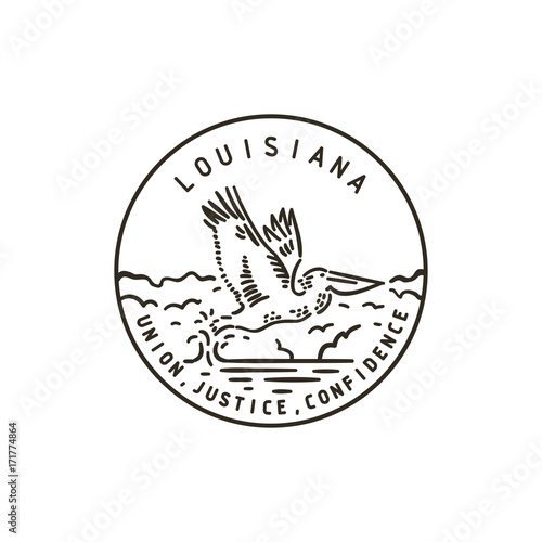 Louisiana. Cormorant