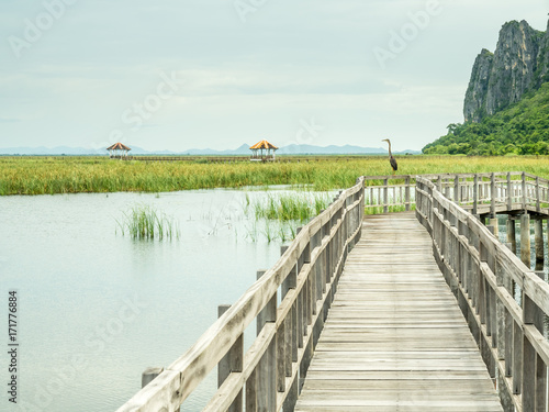 Fototapeta Naklejka Na Ścianę i Meble -  Lotus pond with wooden bridge