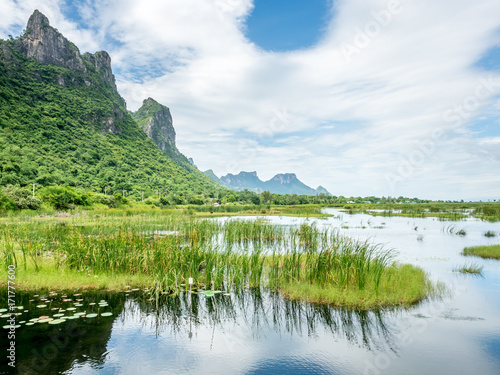 Lotus pond with natural scene