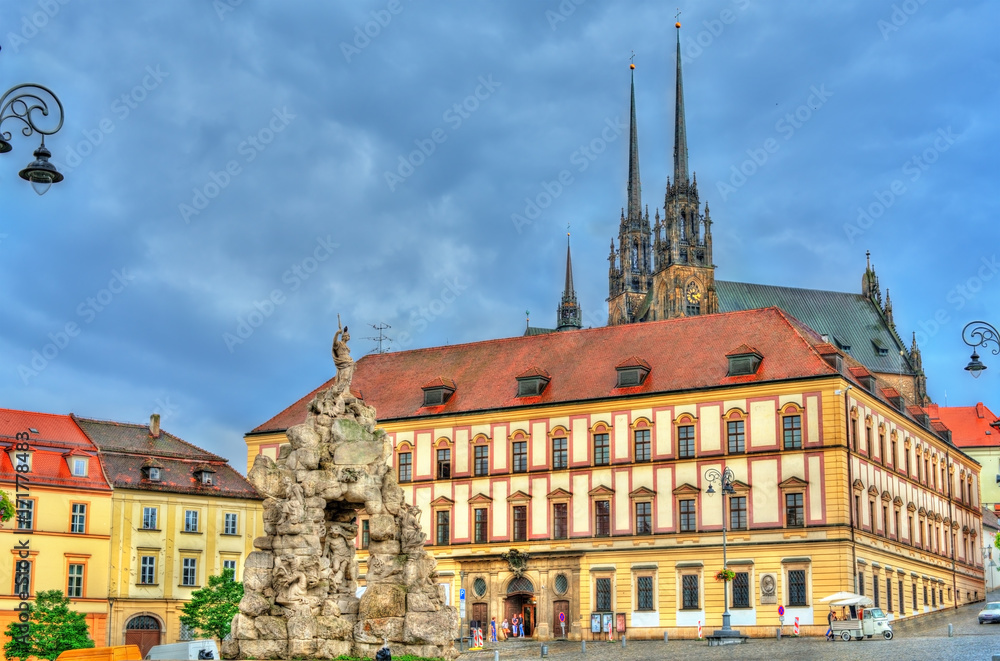 Fototapeta premium Parnas Fountain on Zerny trh square in the old town of Brno, Czech Republic