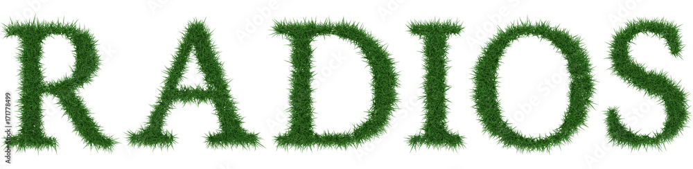 Radios - 3D rendering fresh Grass letters isolated on whhite background. Radios - 3D rendering fresh Grass letters isolated on whhite background.