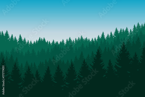 Vector illustration of coniferous forest with green trees in several layers under a blue sky