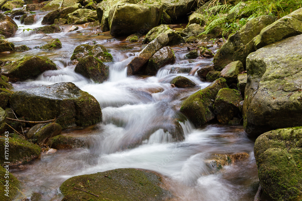 The brook The brook