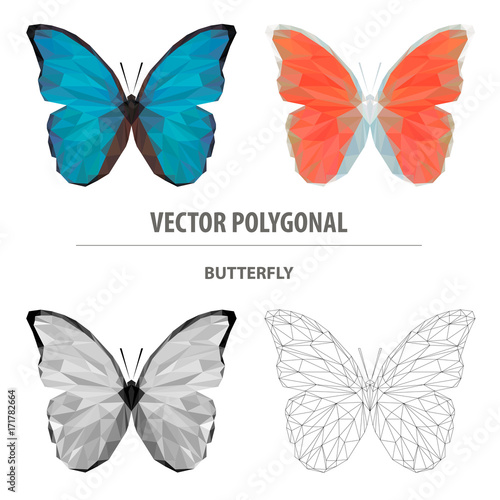 Vector polygonal butterfly. Low poly insect illustration. Triangle color animal image.