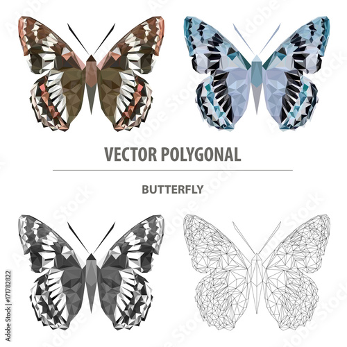 Vector polygonal butterfly. Low poly insect illustration. Triangle color animal image.