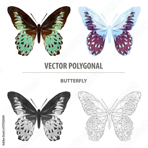 Vector polygonal butterfly. Low poly insect illustration. Triangle color animal image.