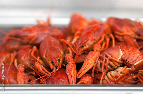 Obraz na płótnie Boiled crawfish. A lot of boiled crawfish. w salonie