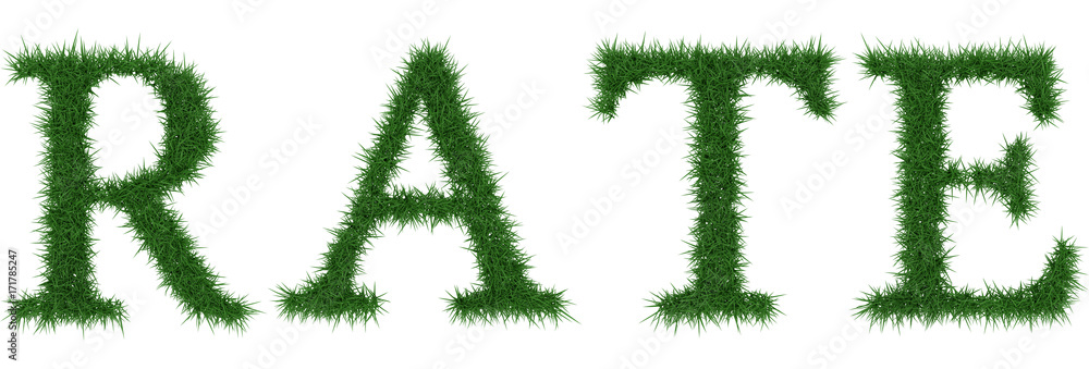 Rate - 3D rendering fresh Grass letters isolated on whhite background. Rate - 3D rendering fresh Grass letters isolated on whhite background.