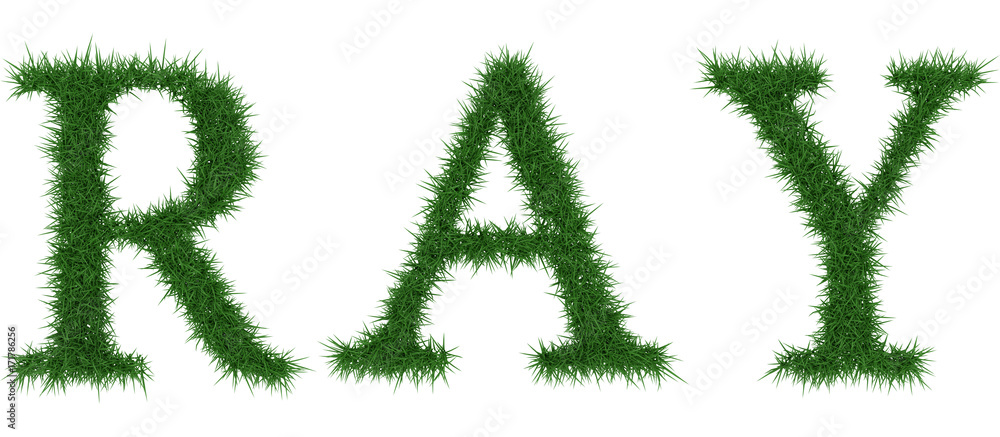 Ray - 3D rendering fresh Grass letters isolated on whhite background. Ray - 3D rendering fresh Grass letters isolated on whhite background.