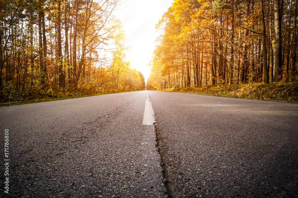 Fototapeta premium autumn road 