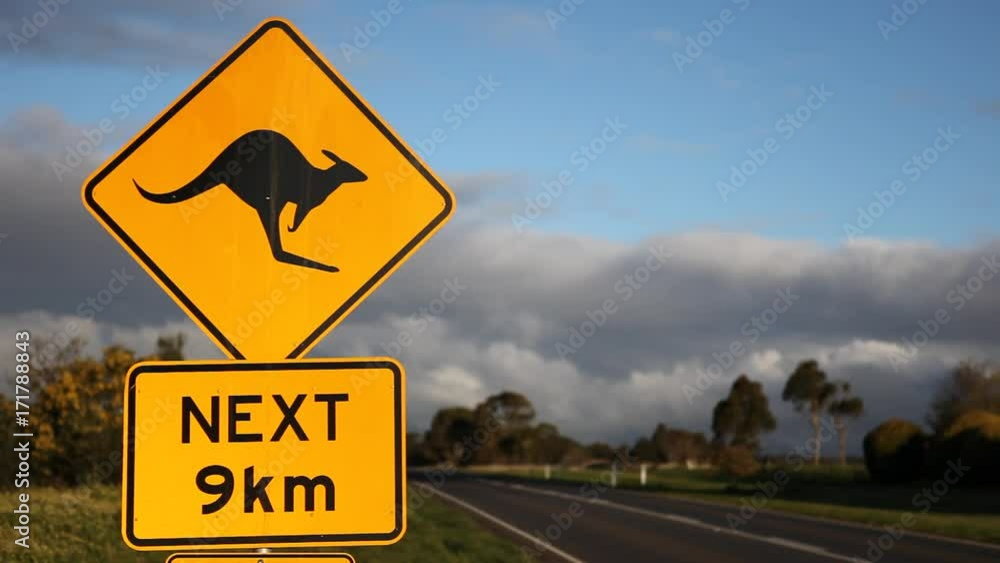 Kangaroo sign with car driving past Kangaroo sign with car driving past