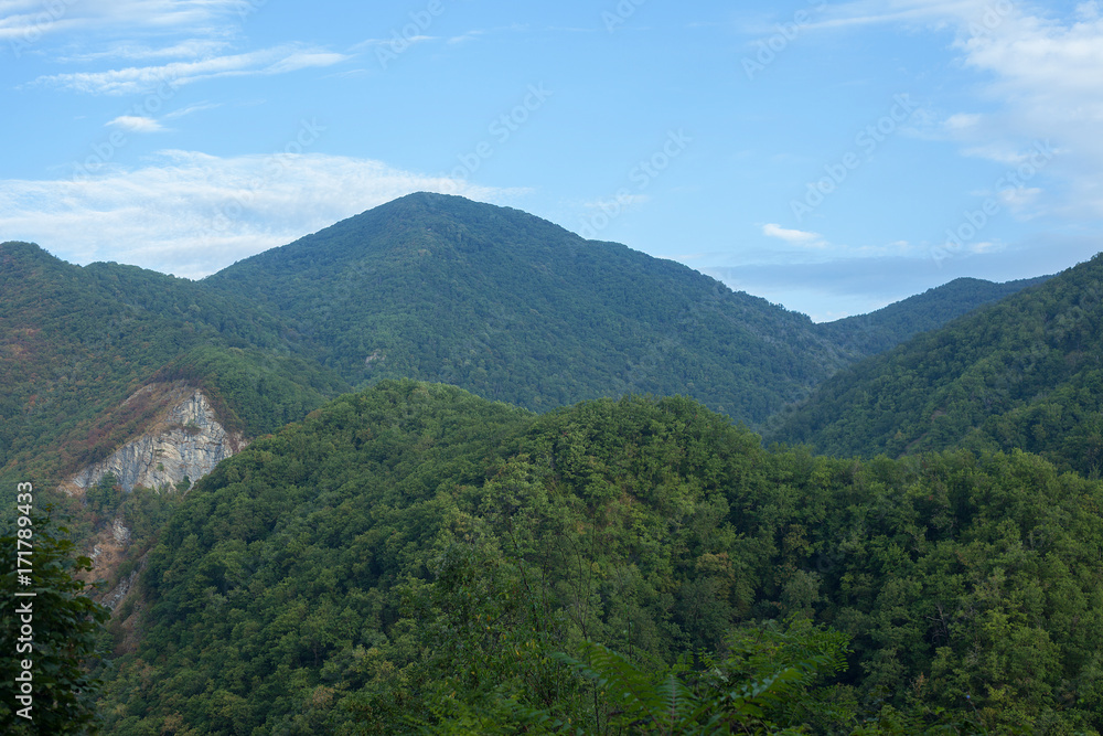 Green forested mountains