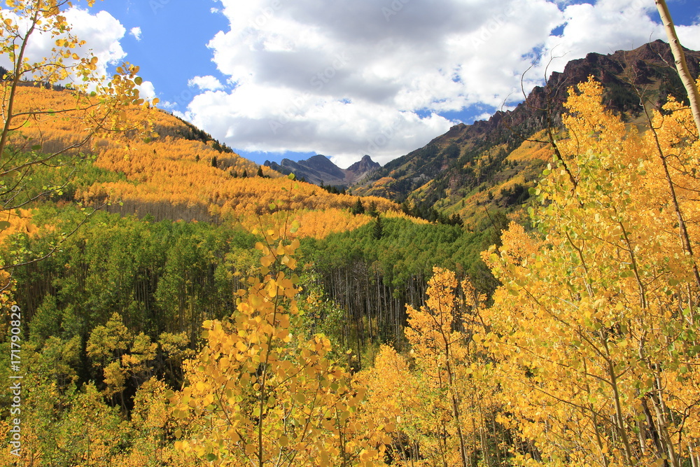 Fall Colors, Aspen Colorado