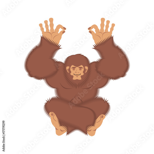Bigfoot yoga. Yeti yogi. Abominable snowman relaxation and cognition. Vector illustration
