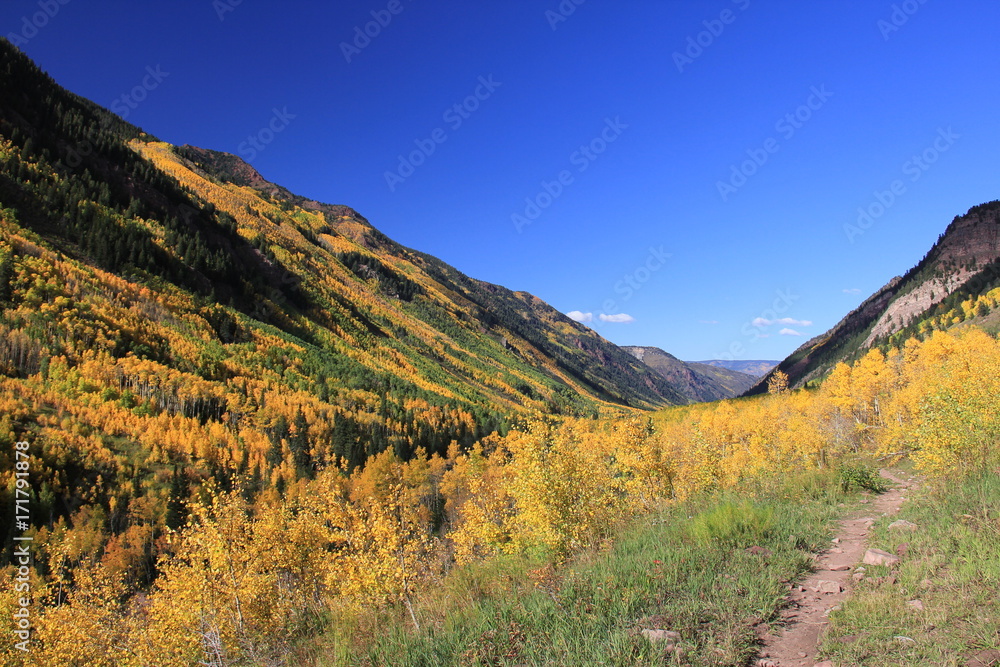 Fall Colors Aspen, Colorado