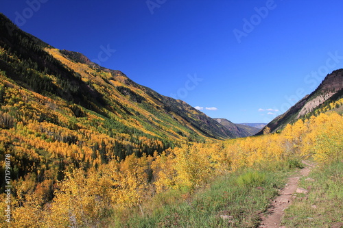 Fototapeta Naklejka Na Ścianę i Meble -  Fall Colors Aspen, Colorado