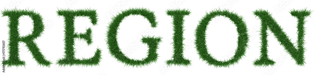 Region - 3D rendering fresh Grass letters isolated on whhite background. Region - 3D rendering fresh Grass letters isolated on whhite background.