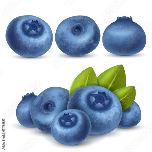 Blueberry set