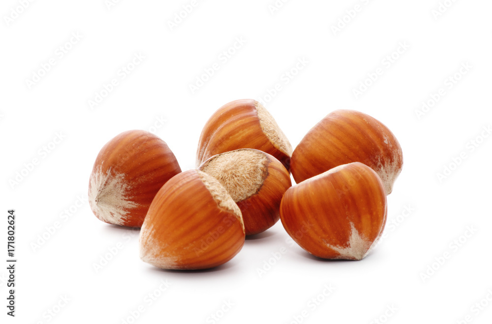 Hazelnuts isolated on white background Hazelnuts isolated on white background