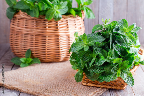 Fresh mint on wooden background. Selective focus photo