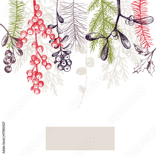 Vector background  with hand drawn Christmas plants.