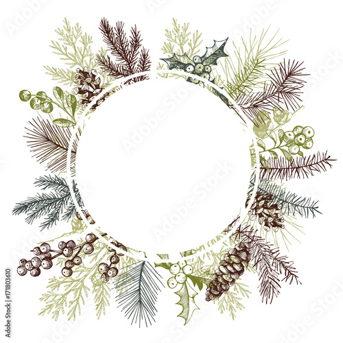 Vector frame with hand drawn Christmas plants