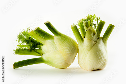 fennel isolated on white background