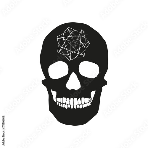 human remains of the skull bones