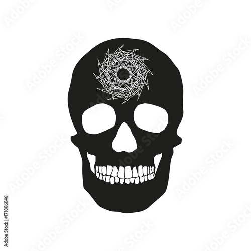 human remains of the skull bones