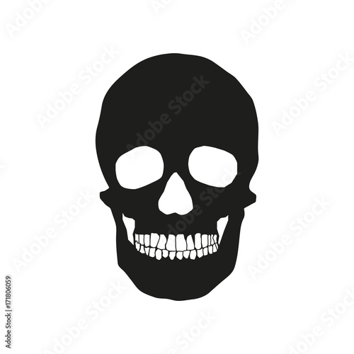 human remains of the skull bones