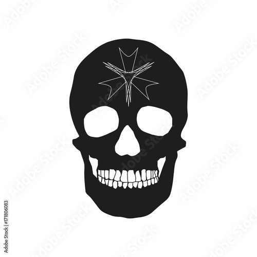 human remains of the skull bones