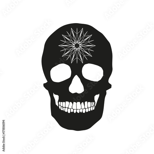 human remains of the skull bones