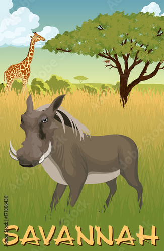 Fototapeta Naklejka Na Ścianę i Meble -  African savannah with giraffe, common warthog and monkey - vector illustration