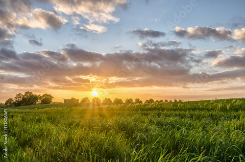 Sunset in the countryside with nice clouds  trees and grass moving in the wind