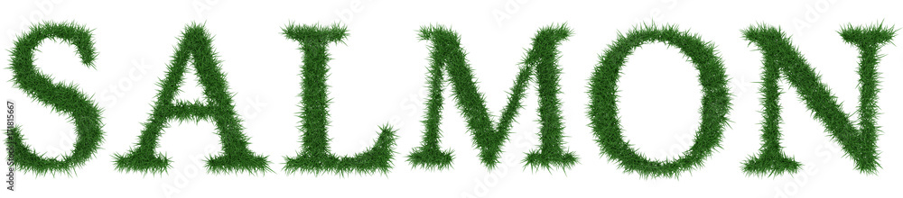 Salmon - 3D rendering fresh Grass letters isolated on whhite background. Salmon - 3D rendering fresh Grass letters isolated on whhite background.
