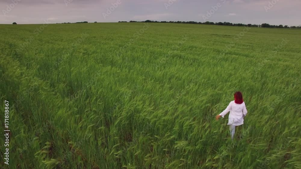 4K Aerial Above Wheat Field and Scientist Woman Walking 4K Aerial Above Wheat Field and Scientist Woman Walking