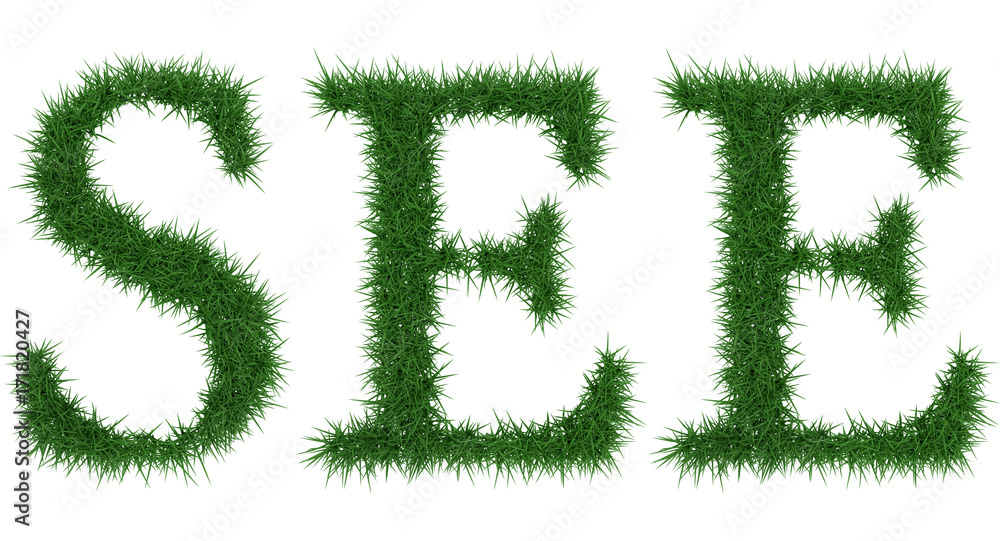 See - 3D rendering fresh Grass letters isolated on whhite background. See - 3D rendering fresh Grass letters isolated on whhite background.