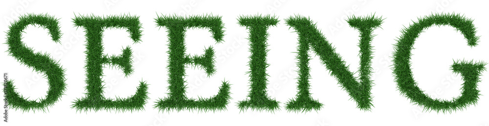 Seeing - 3D rendering fresh Grass letters isolated on whhite background. Seeing - 3D rendering fresh Grass letters isolated on whhite background.