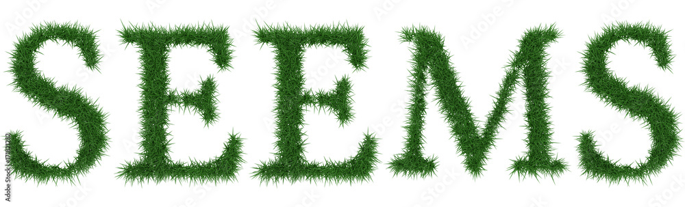Seems - 3D rendering fresh Grass letters isolated on whhite background. Seems - 3D rendering fresh Grass letters isolated on whhite background.