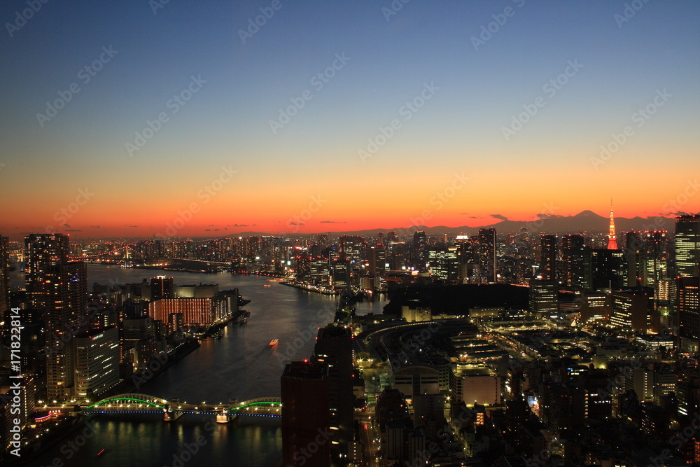 Fototapeta premium 東京の夜景