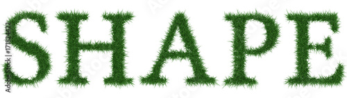 Shape - 3D rendering fresh Grass letters isolated on whhite background.
