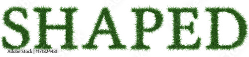 Shaped - 3D rendering fresh Grass letters isolated on whhite background.