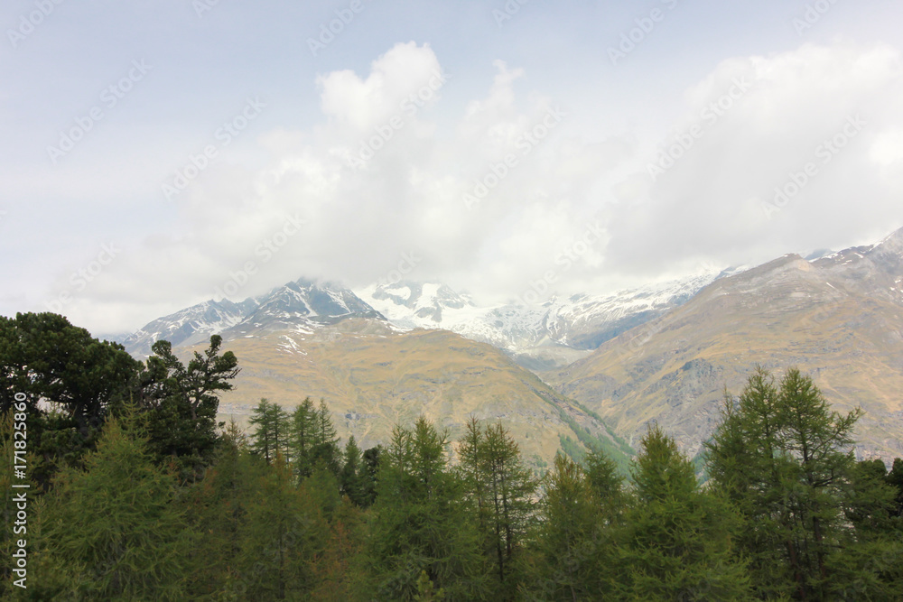 Green Mountain View on both sides of the Swiss Railways Green Mountain View on both sides of the Swiss Railways